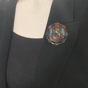 Large Hexagonal Lion Crest Brooch Pin Vintage Bronze Enamel Crown Banner Design